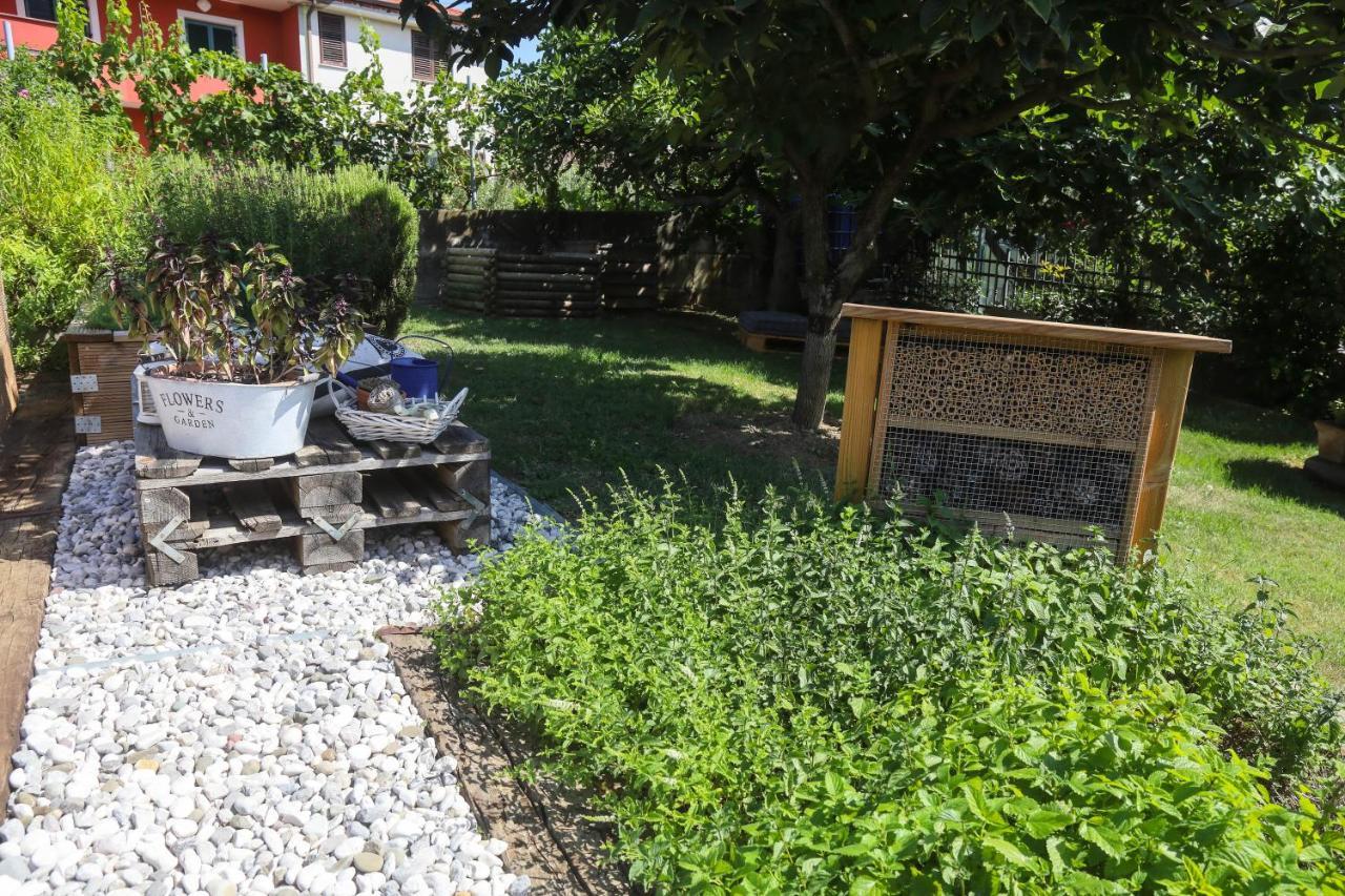 Healthy House Glamping Hotell Koper Exteriör bild