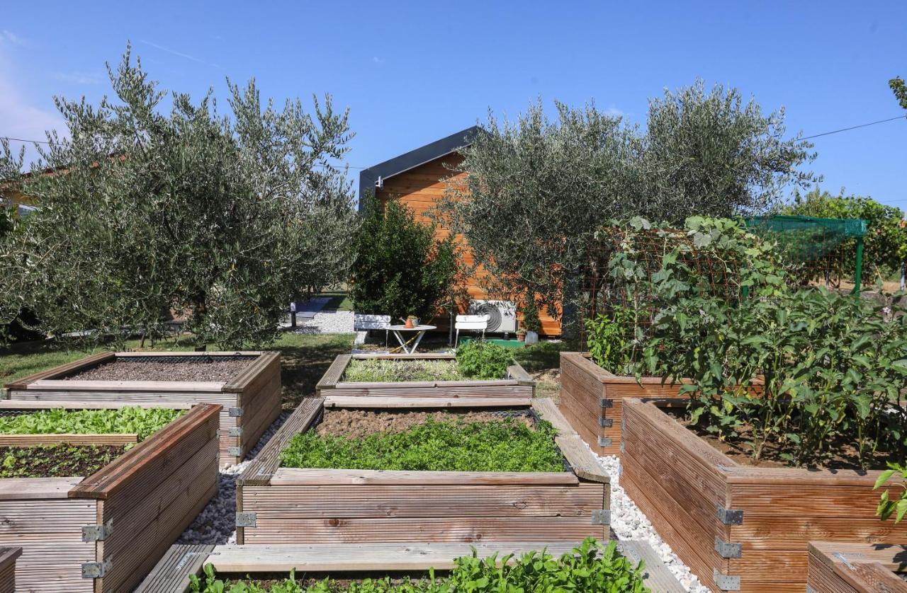 Healthy House Glamping Hotell Koper Exteriör bild