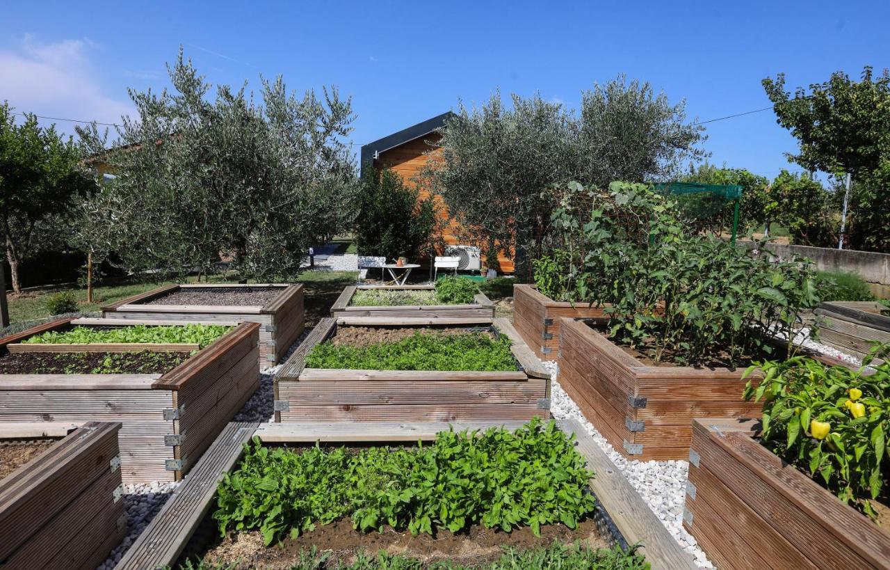 Healthy House Glamping Hotell Koper Exteriör bild